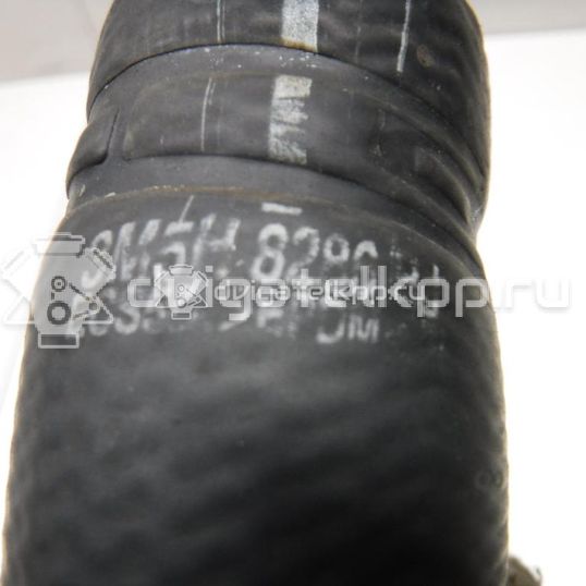 Фото Патрубок радиатора  3M5H8286BJ для Ford Focus