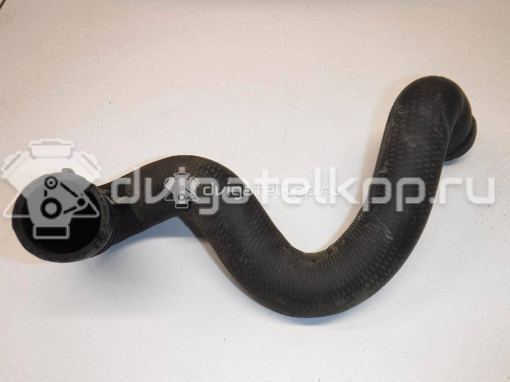 Фото Патрубок радиатора  3M5H8286BJ для Ford Focus {forloop.counter}}