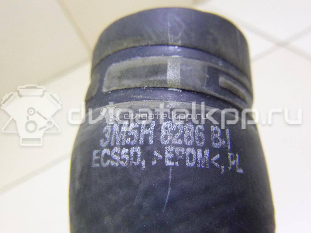 Фото Патрубок радиатора  3M5H8286BJ для Ford Focus {forloop.counter}}
