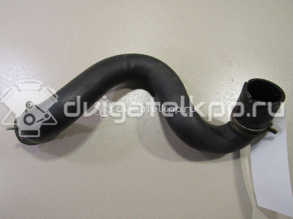 Фото Патрубок радиатора  3M5H8286BJ для Ford Focus {forloop.counter}}