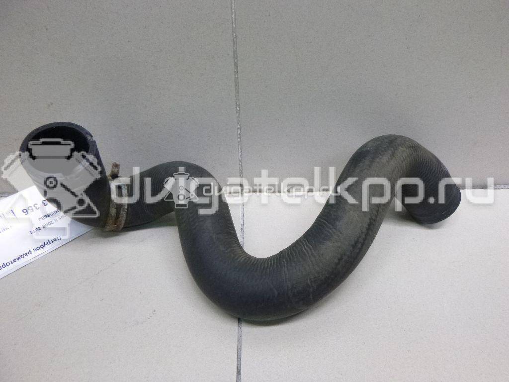 Фото Патрубок радиатора  3M5H8286BJ для Ford Focus {forloop.counter}}