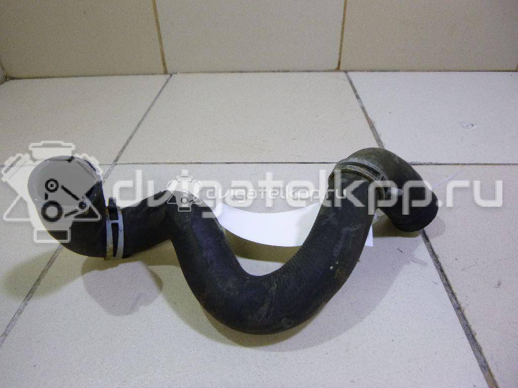 Фото Патрубок радиатора  3M5H8286BJ для Ford Focus {forloop.counter}}