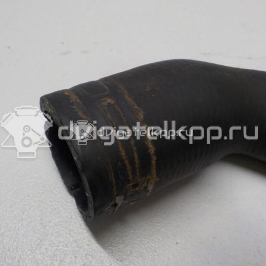 Фото Патрубок радиатора  3M5H8260KH для Ford Focus / C-Max