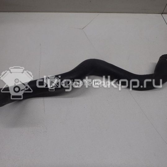 Фото Патрубок радиатора  3M5H8260KH для Ford Focus / C-Max