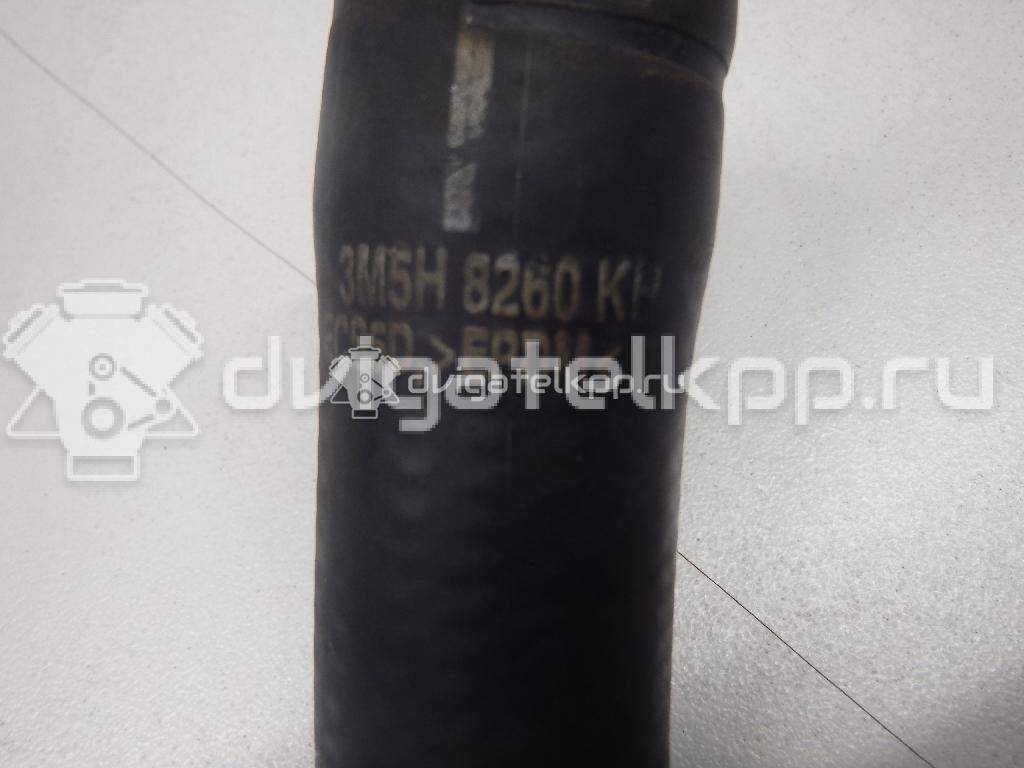 Фото Патрубок радиатора  3M5H8260KH для Ford Focus / C-Max {forloop.counter}}