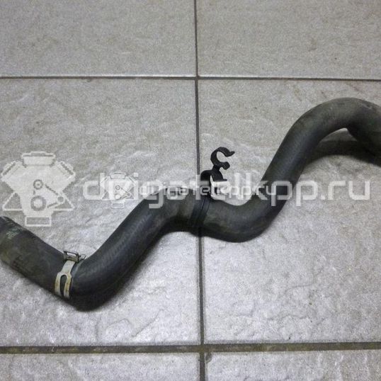 Фото Патрубок радиатора  3M5H8260KH для Ford Focus / C-Max