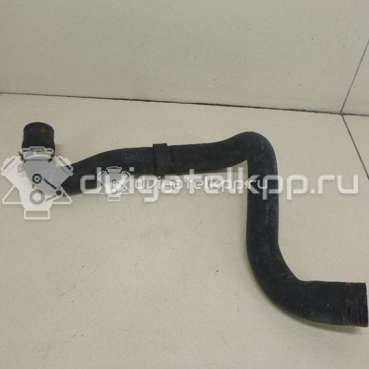 Фото Патрубок радиатора  1520851 для Ford Focus / C-Max