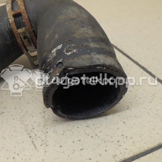 Фото Патрубок радиатора  1384145 для Ford Focus / C-Max