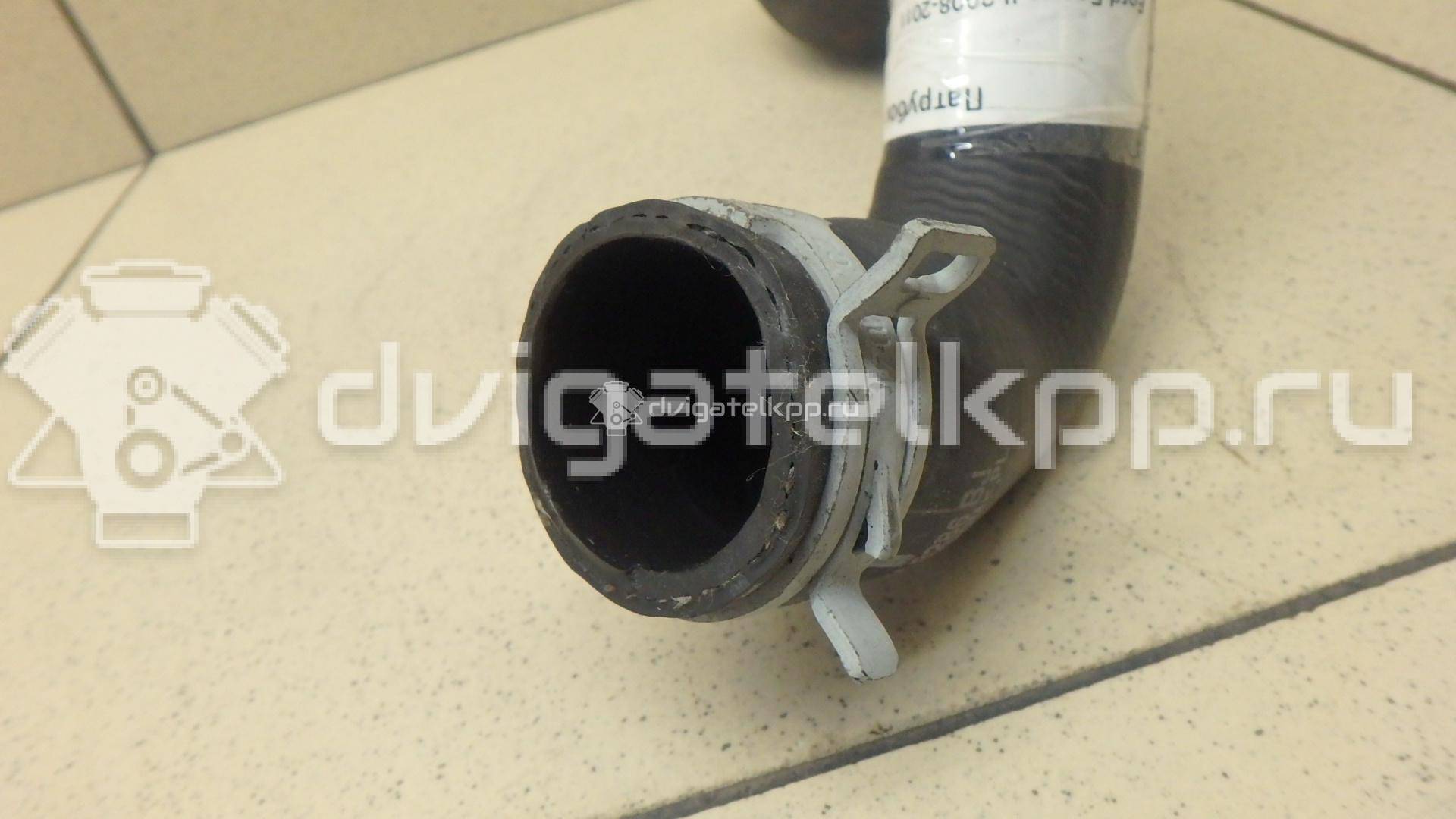 Фото Патрубок радиатора  1384145 для Ford Focus / C-Max {forloop.counter}}