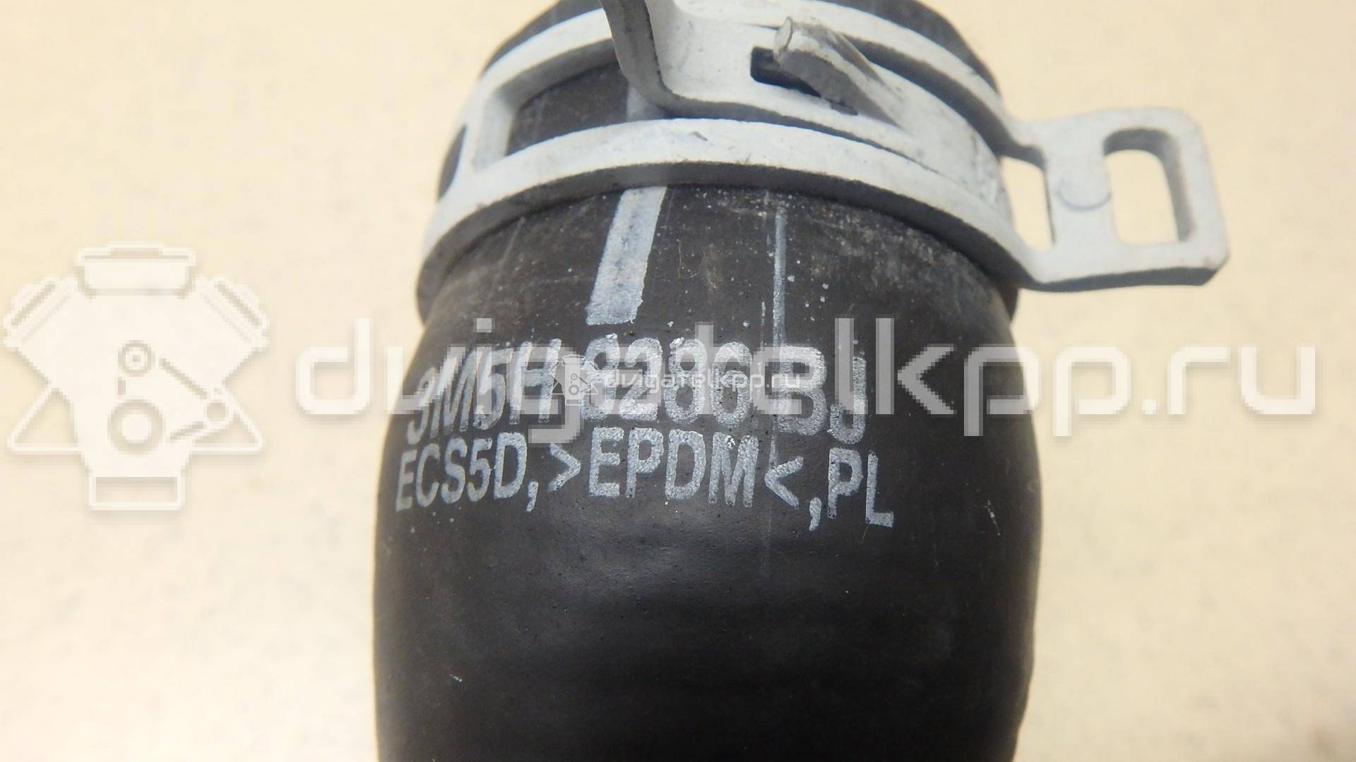Фото Патрубок радиатора  1384145 для Ford Focus / C-Max {forloop.counter}}