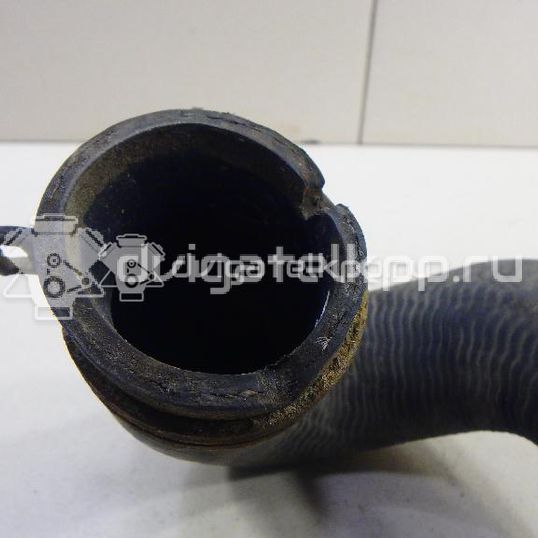 Фото Патрубок радиатора  1384145 для Ford Focus / C-Max