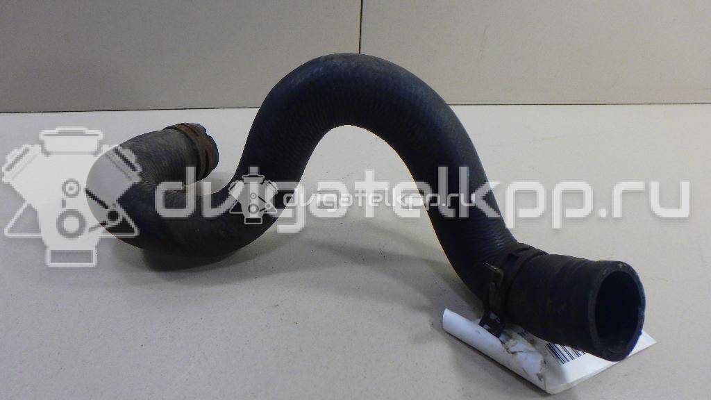 Фото Патрубок радиатора  1384145 для Ford Focus / C-Max {forloop.counter}}
