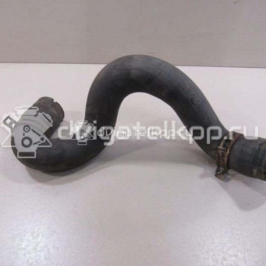 Фото Патрубок радиатора  1384145 для Ford Focus / C-Max