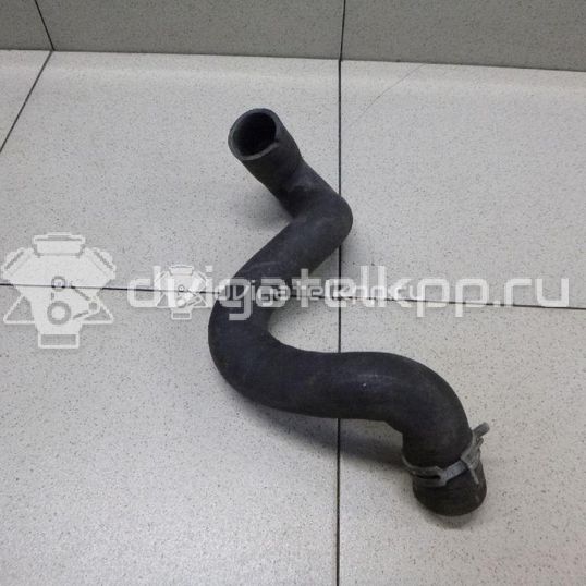 Фото Патрубок радиатора  1384145 для Ford Focus / C-Max