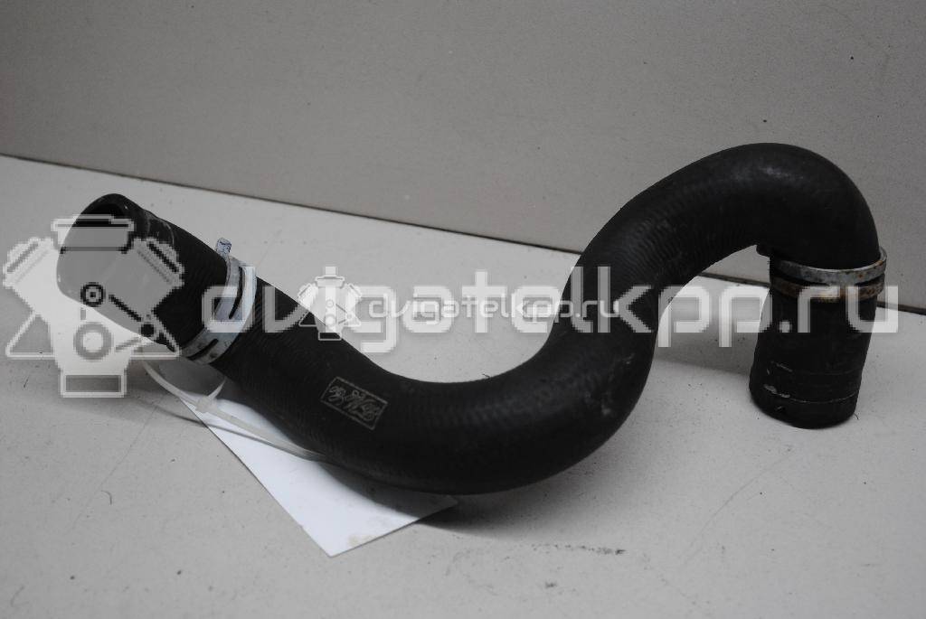 Фото Патрубок радиатора  1384145 для Ford Focus / C-Max {forloop.counter}}