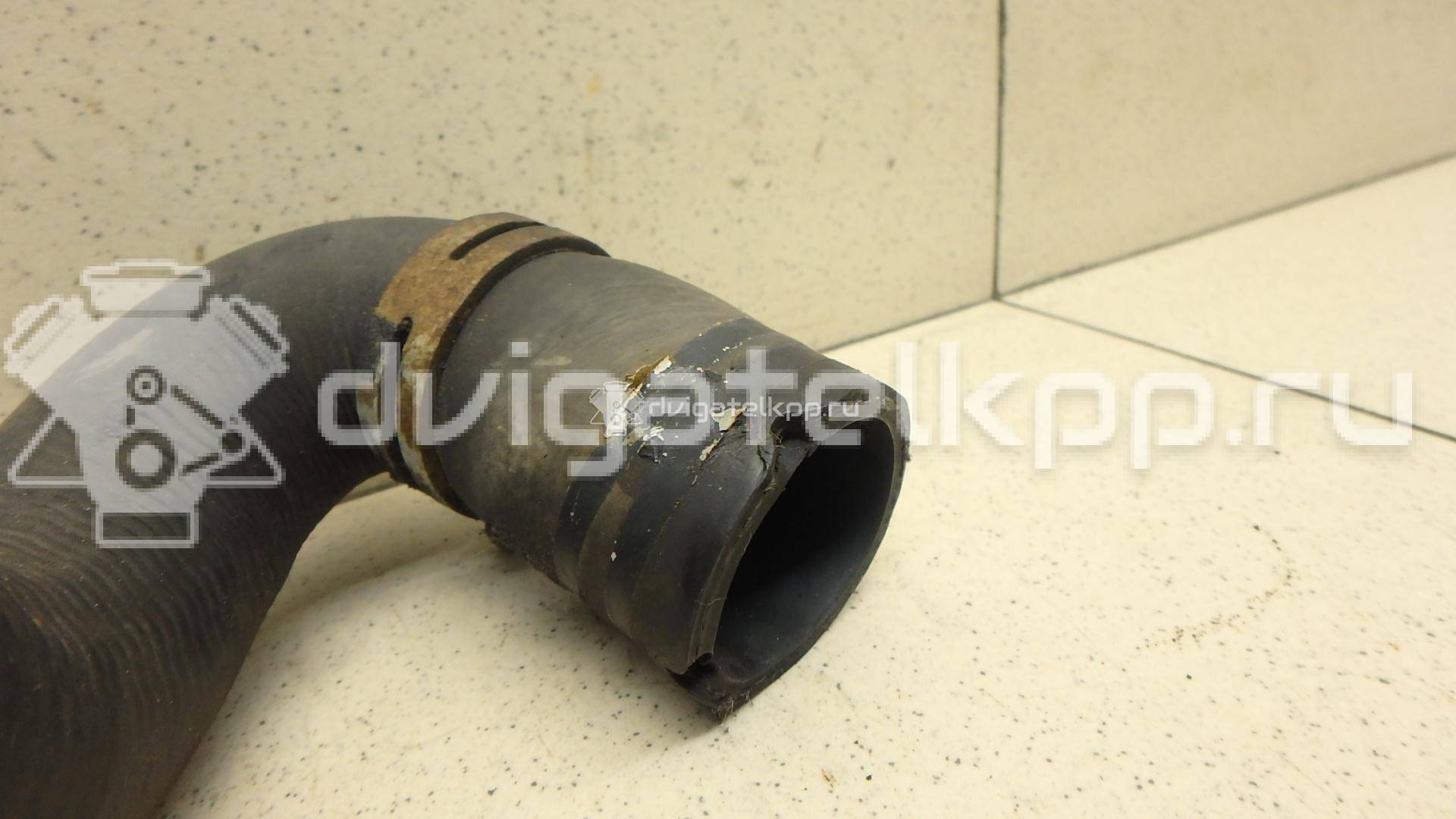 Фото Патрубок радиатора  1384145 для Ford Focus / C-Max {forloop.counter}}