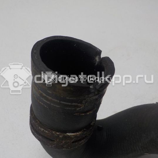 Фото Патрубок радиатора  1384145 для Ford Focus / C-Max