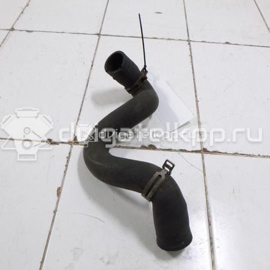 Фото Патрубок радиатора  1384145 для Ford Focus / C-Max