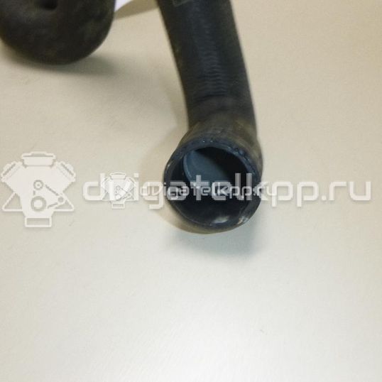 Фото Патрубок радиатора  1384145 для Ford Focus / C-Max