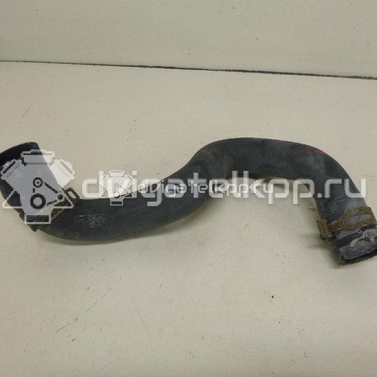 Фото Патрубок радиатора  1384145 для Ford Focus / C-Max