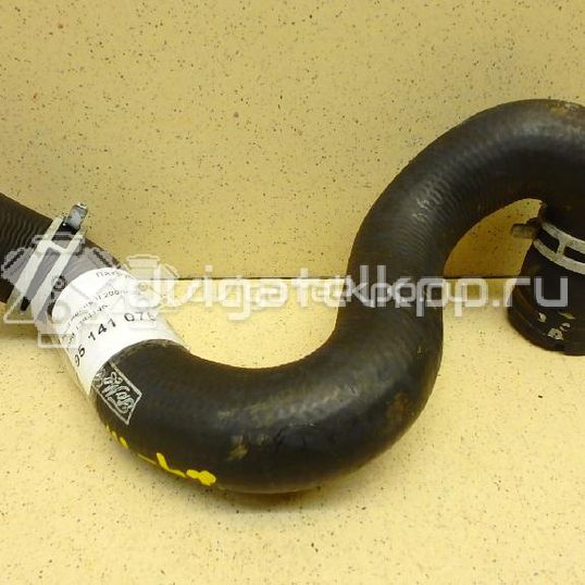 Фото Патрубок радиатора  1384145 для Ford Focus / C-Max