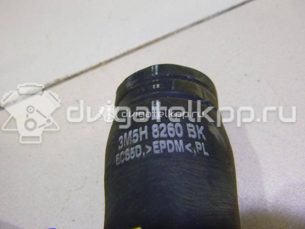 Фото Патрубок радиатора  3M5H8260BK для Ford Focus / C-Max {forloop.counter}}