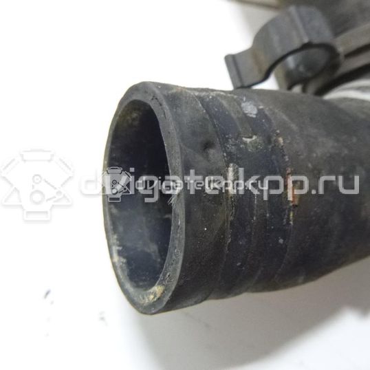 Фото Патрубок радиатора  3M5H8260BK для Ford Focus / C-Max