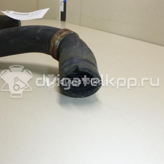 Фото Патрубок радиатора  3M5H8260BK для Ford Focus / C-Max