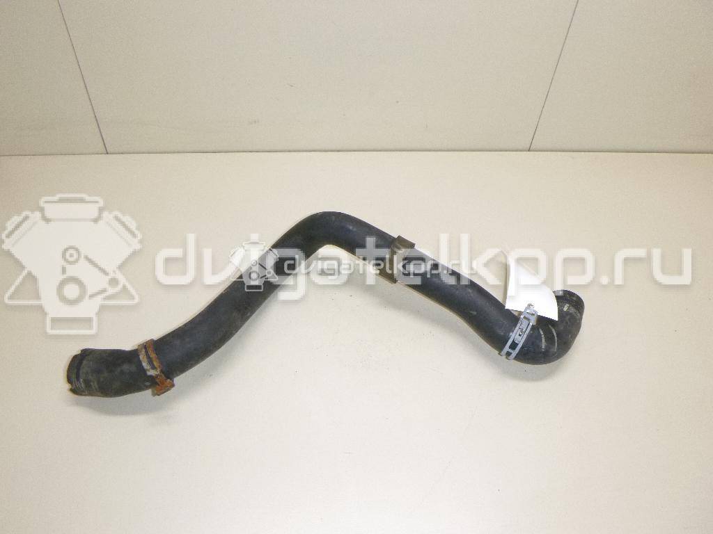 Фото Патрубок радиатора  3M5H8260BK для Ford Focus / C-Max {forloop.counter}}