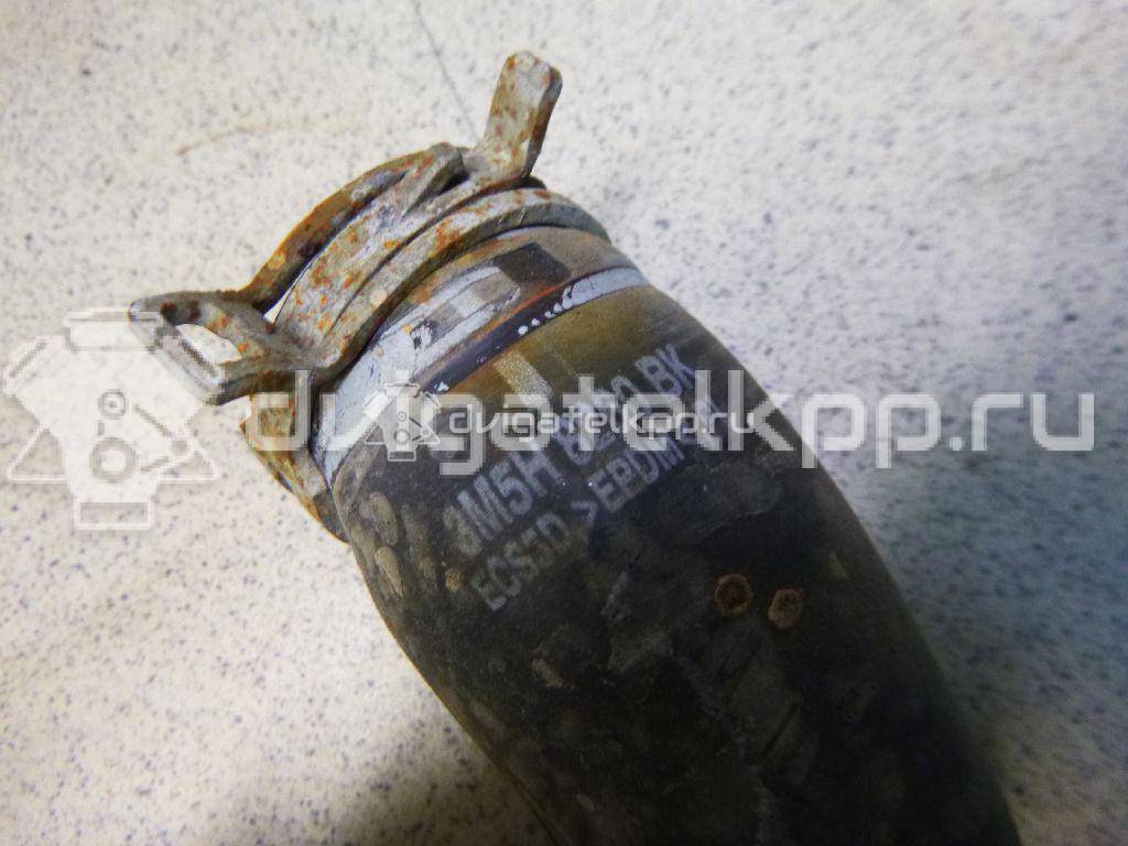 Фото Патрубок радиатора  3M5H8260BK для Ford Focus / C-Max {forloop.counter}}