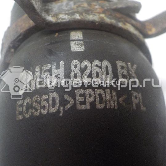 Фото Патрубок радиатора  3M5H8260BK для Ford Focus / C-Max