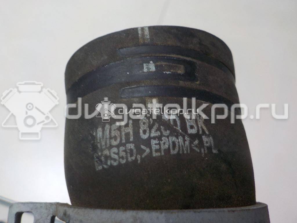 Фото Патрубок радиатора  3M5H8260BK для Ford Focus / C-Max {forloop.counter}}