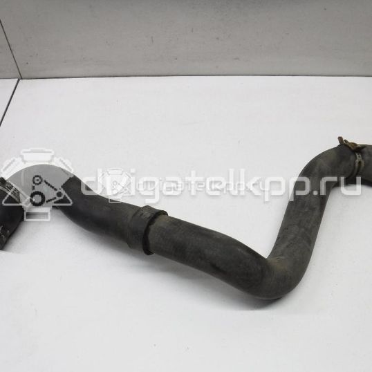 Фото Патрубок радиатора  3M5H8260BK для Ford Focus / C-Max