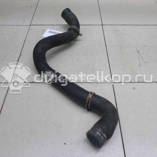 Фото Патрубок радиатора  3M5H8260BK для Ford Focus / C-Max