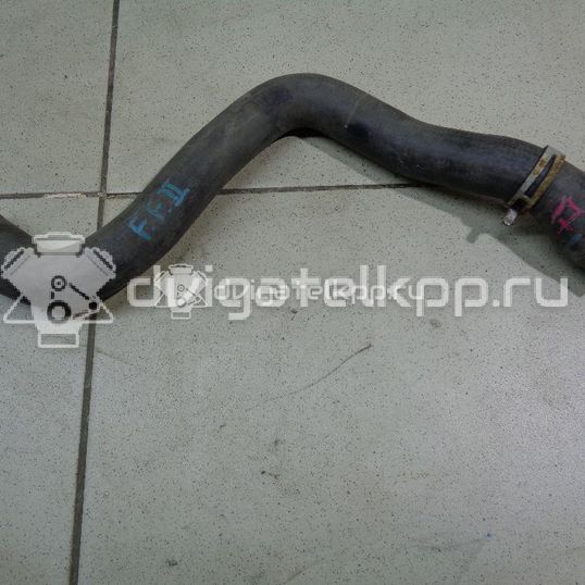 Фото Патрубок радиатора  1490677 для Ford Focus / C-Max