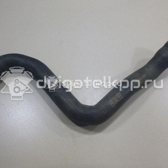 Фото Патрубок радиатора  1490677 для Ford Focus / C-Max