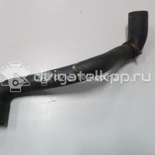 Фото Патрубок радиатора  3M5H8260CH для Ford Focus / C-Max