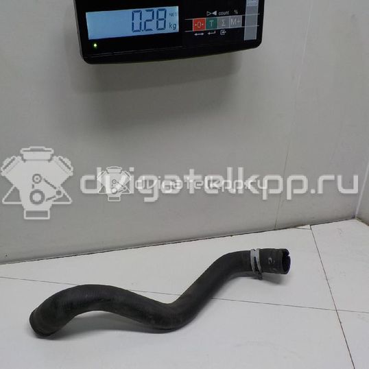 Фото Патрубок радиатора  1384144 для Ford Focus / C-Max