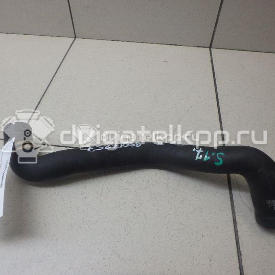 Фото Патрубок радиатора  1384144 для Ford Focus / C-Max