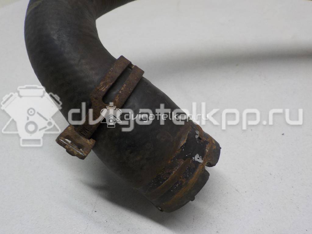 Фото Патрубок радиатора  3M5H8286SK для Ford Focus / C-Max {forloop.counter}}