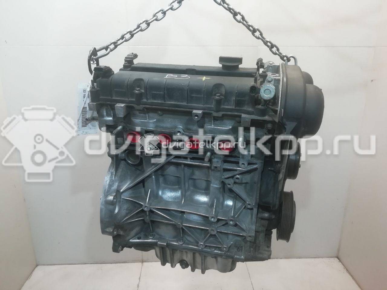 Фото Контрактный (б/у) двигатель PNDA для Ford / Ford Australia 125 л.с 16V 1.6 л бензин 1752082 {forloop.counter}}
