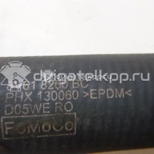 Фото Патрубок радиатора  1724201 для ford C-MAX