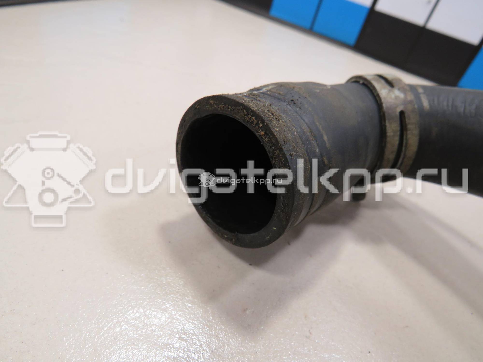 Фото Патрубок радиатора  1724201 для Ford Focus / C-Max {forloop.counter}}
