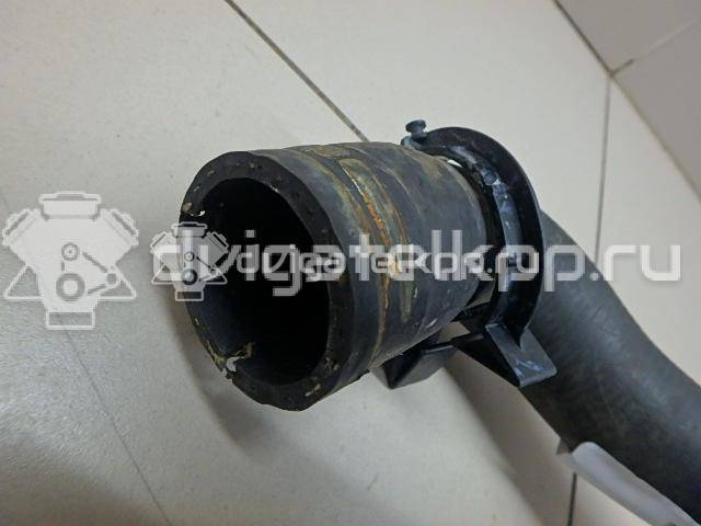 Фото Патрубок радиатора  1724201 для Ford Focus / C-Max {forloop.counter}}