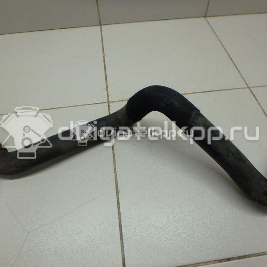 Фото Патрубок радиатора  1724201 для Ford Focus / C-Max