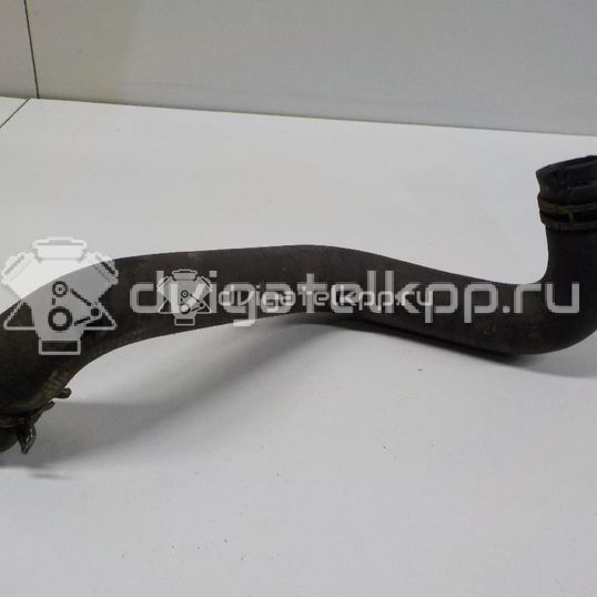 Фото Патрубок радиатора  8V618286BA для Ford Focus / C-Max