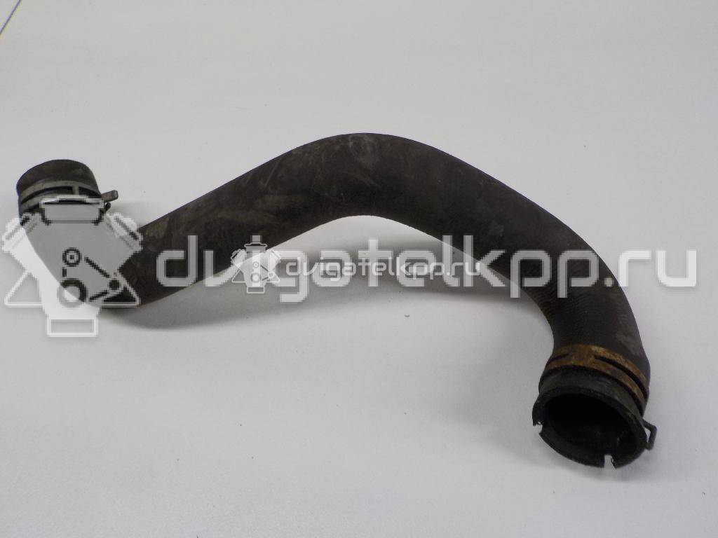 Фото Патрубок радиатора  8V618286BA для Ford Focus / C-Max {forloop.counter}}