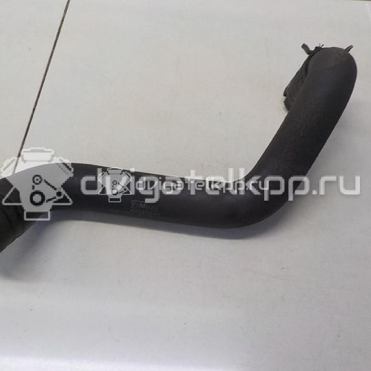 Фото Патрубок радиатора  8v618286ba для Ford Focus / C-Max