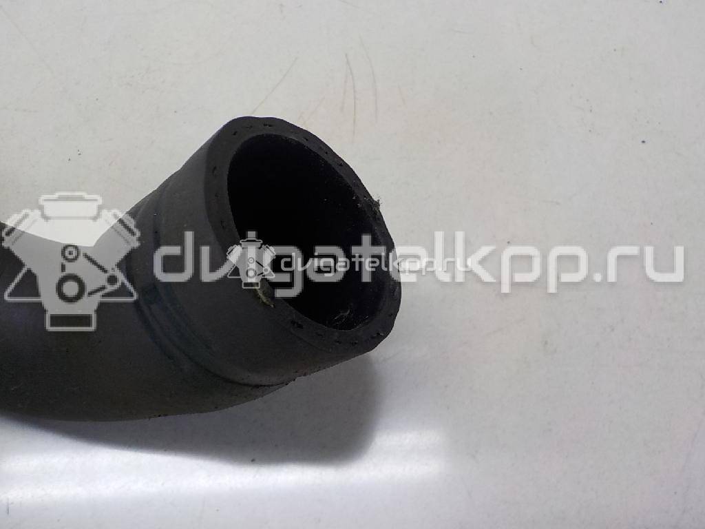 Фото Патрубок радиатора  8v618286ba для Ford Focus / C-Max {forloop.counter}}