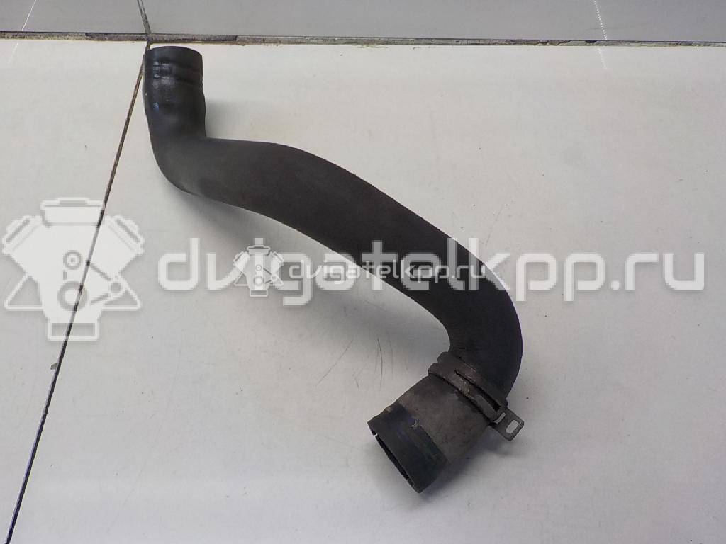 Фото Патрубок радиатора  8v618286ba для Ford Focus / C-Max {forloop.counter}}